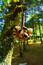 Handmade Panji White Fruit Seed Pod Wooden Handle Shaker – Natural Rhythm - Yunicrafts