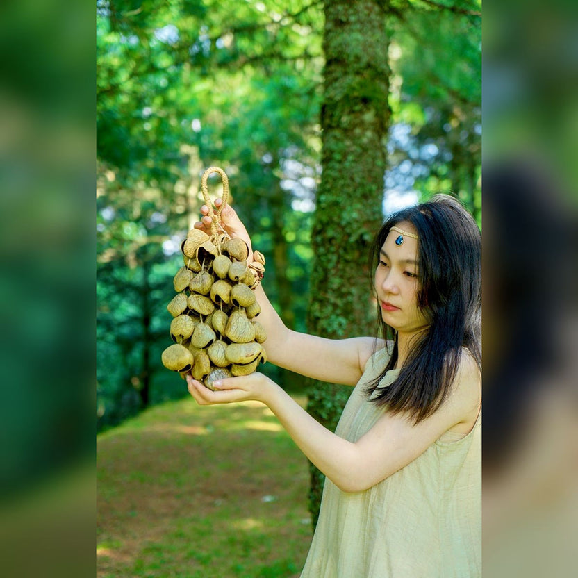 Seed Shaker | Handmade Panji White Fruit Seed Shell Hand Bell – Natural Rainforest Sound Decor - Yunicrafts