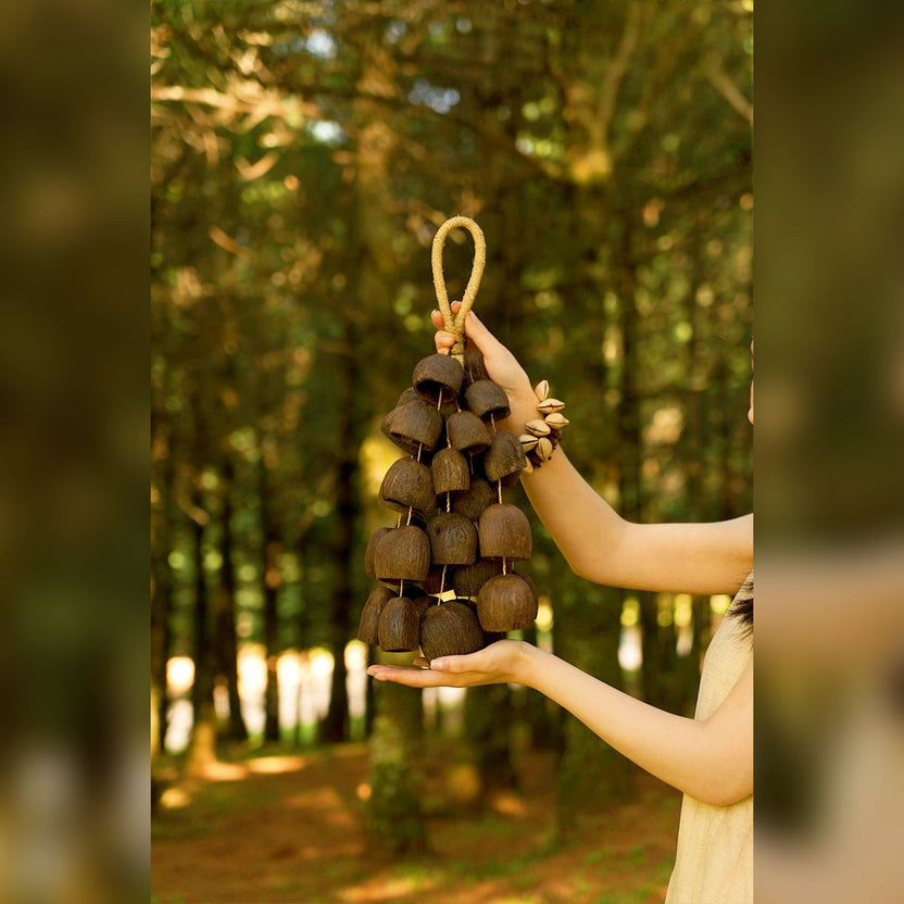 Seed Shaker | Handmade Salin Water Bellwood Seed Shell Hand Bell – Natural Rainforest Decor - Yunicrafts