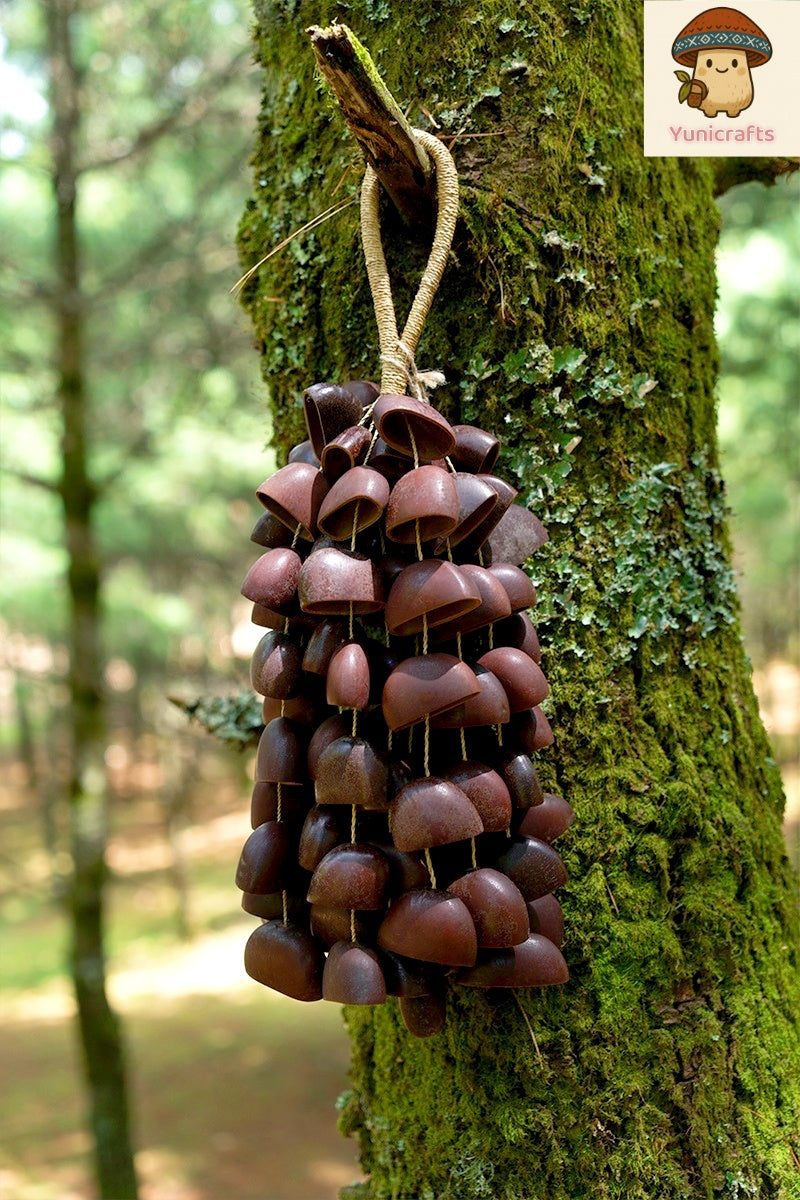 Handmade Juju Duckfoot Vine Seed Shell Hand Bell – Natural Rainforest Sound Decor