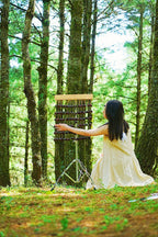 Handmade Juju Duckvine Seed Shell Bar Wind Chime – Natural Rainforest Sound