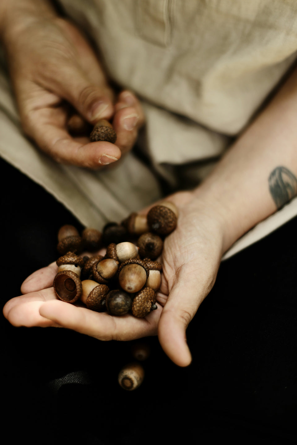 Rainforest seeds, pods, shells, vines, and wood used in Yunicrafts handmade botanical decor