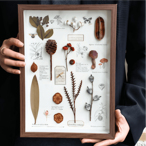 "Nature's Cabinet" Botanical Specimen Shadow Box - Yunicrafts