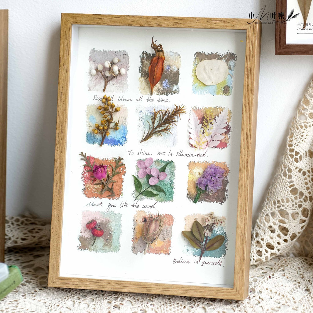 "Nature's Cabinet" - Real Botanical Specimen & Seed Shadow Box Art (A4 Size) - Yunicrafts