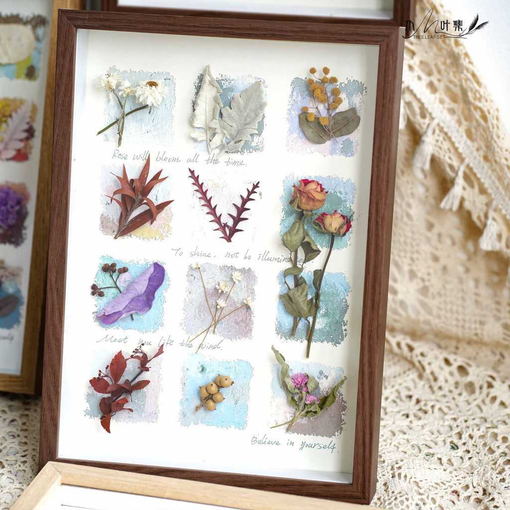 "Nature's Cabinet" - Real Botanical Specimen & Seed Shadow Box Art (A4 Size) - Yunicrafts