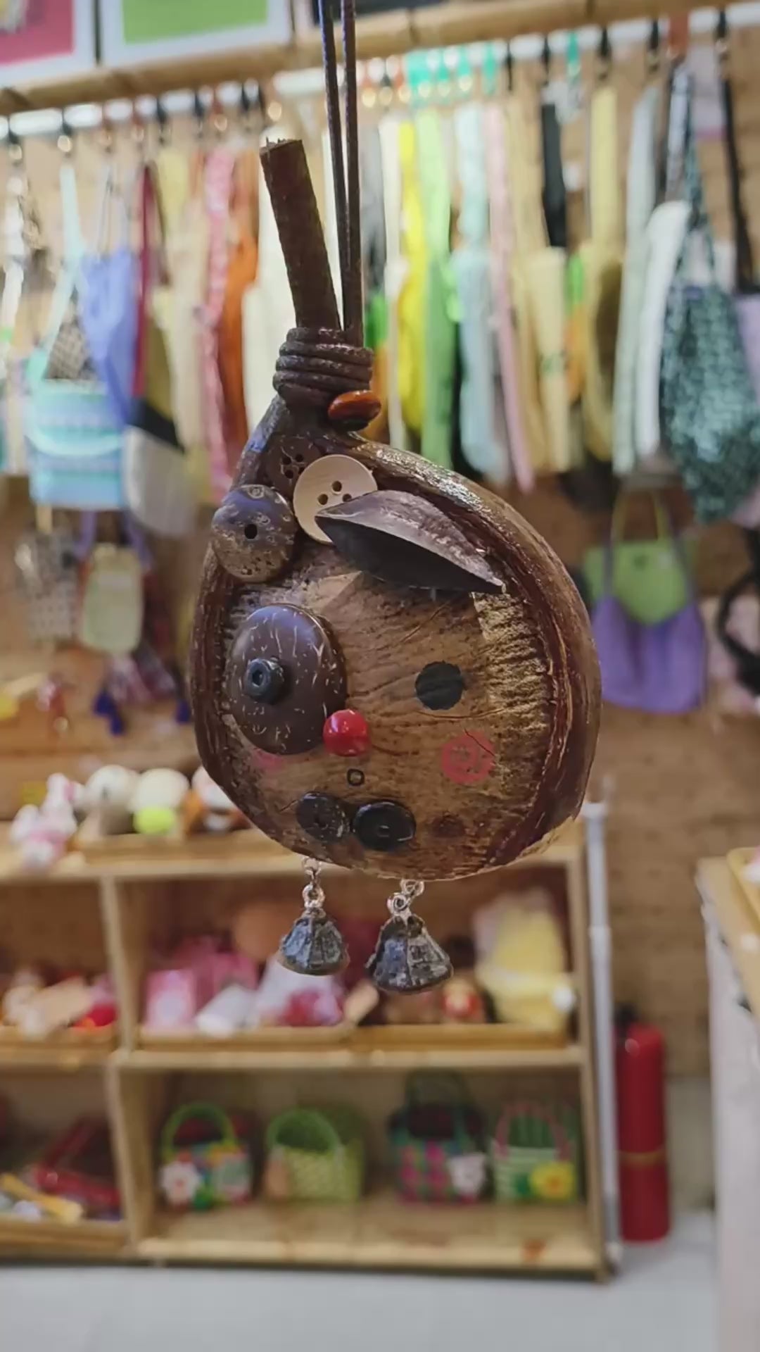 Hanging big-eyed Entada pod ornament with seed charms in a craft shop display