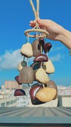 "The Deep Forest Chime" Seed Chime