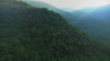 Yunicrafts rainforest mountain hero background