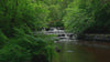 Yunicrafts rainforest stream background