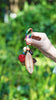 Rainbow wrapped seed bag charm held outdoors against green foliage