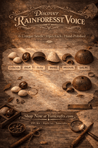 Rainforest Sound DIY Seed Craft Kit – Create Your Own Natural Wind Chime or Shaker - Yunicrafts