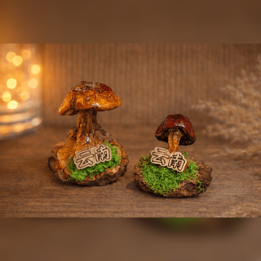 Handcrafted Real - Mushroom Fridge Magnets – Nature Preserved in Art Gift Idea - Yunicrafts