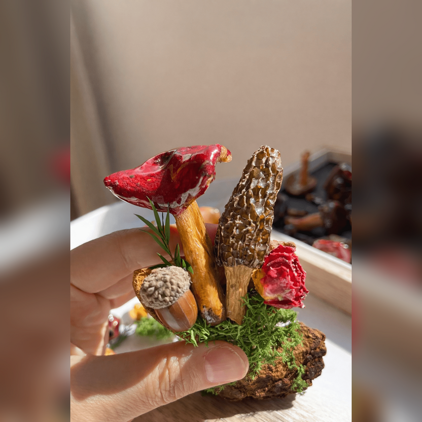 Handcrafted Real - Mushroom Fridge Magnets – Nature Preserved in Art Gift Idea - Yunicrafts