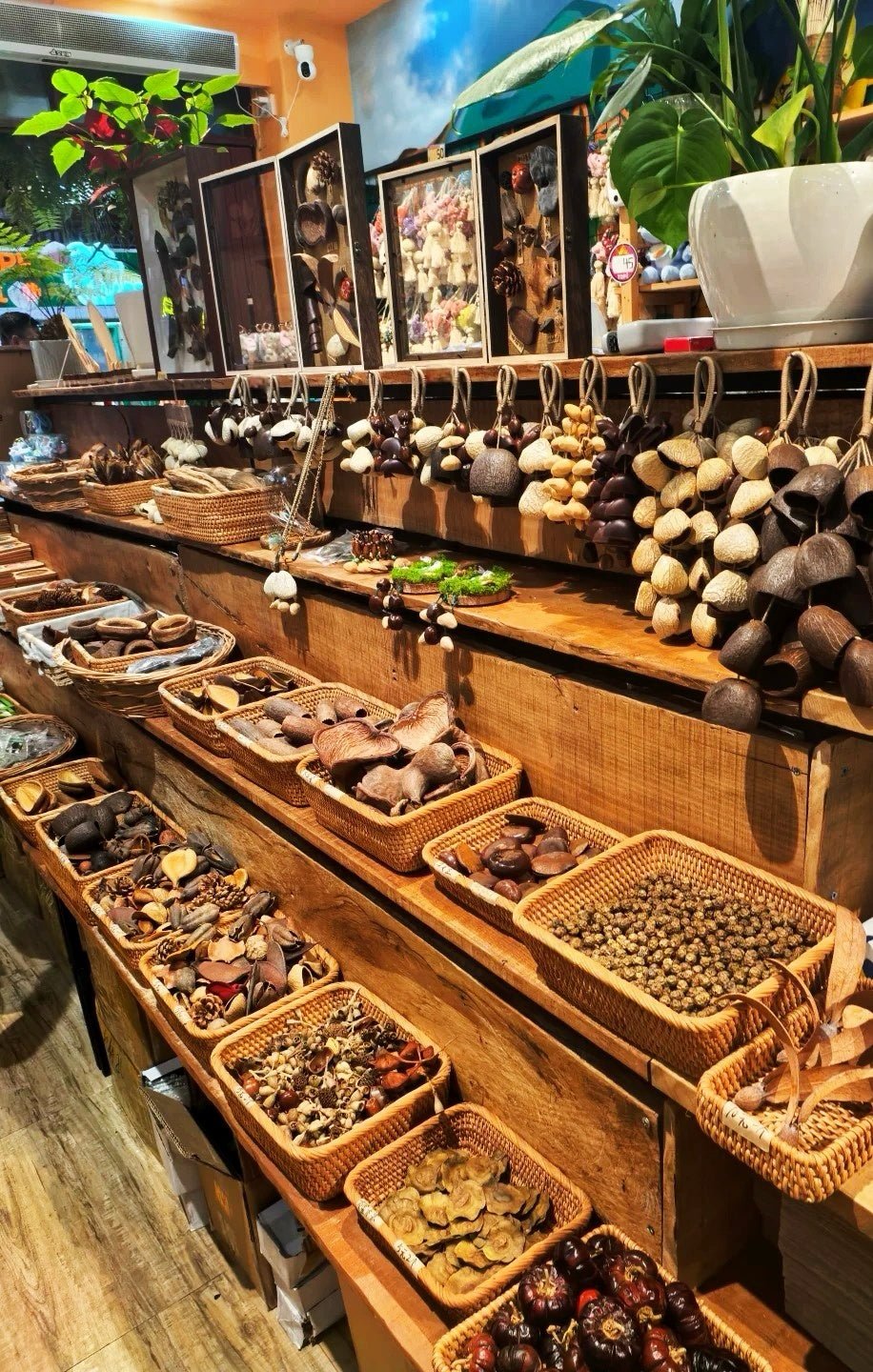 Seed Shaker | Handmade Entada, Cardamom & Oleander Seed Shell Wind Chime Hand Bell - Yunicrafts