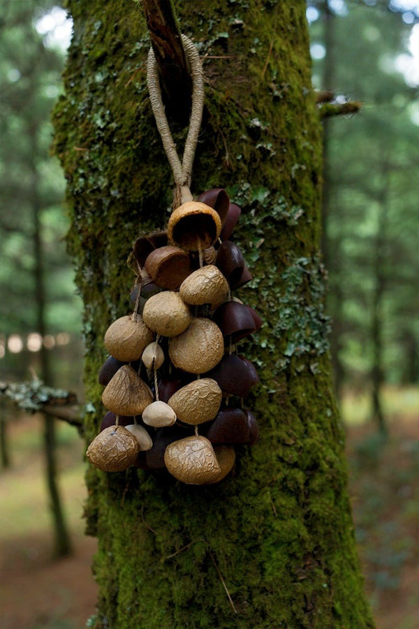 Seed Shaker | Handmade Entada, Pala Cardamom & Chacha Oleander Seed Shell Hand Bell– Natural Rainforest Sound