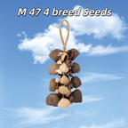 Seed Shaker | Handmade Entada, Pala Cardamom & Chacha Oleander Seed Shell Hand Bell– Natural Rainforest Sound - Yunicrafts