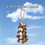 Seed Shaker | Handmade Entada, Pala Cardamom & Chacha Oleander Seed Shell Hand Bell– Natural Rainforest Sound - Yunicrafts