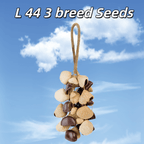 Seed Shaker | Handmade Entada, Pala Cardamom & Chacha Oleander Seed Shell Hand Bell– Natural Rainforest Sound - Yunicrafts