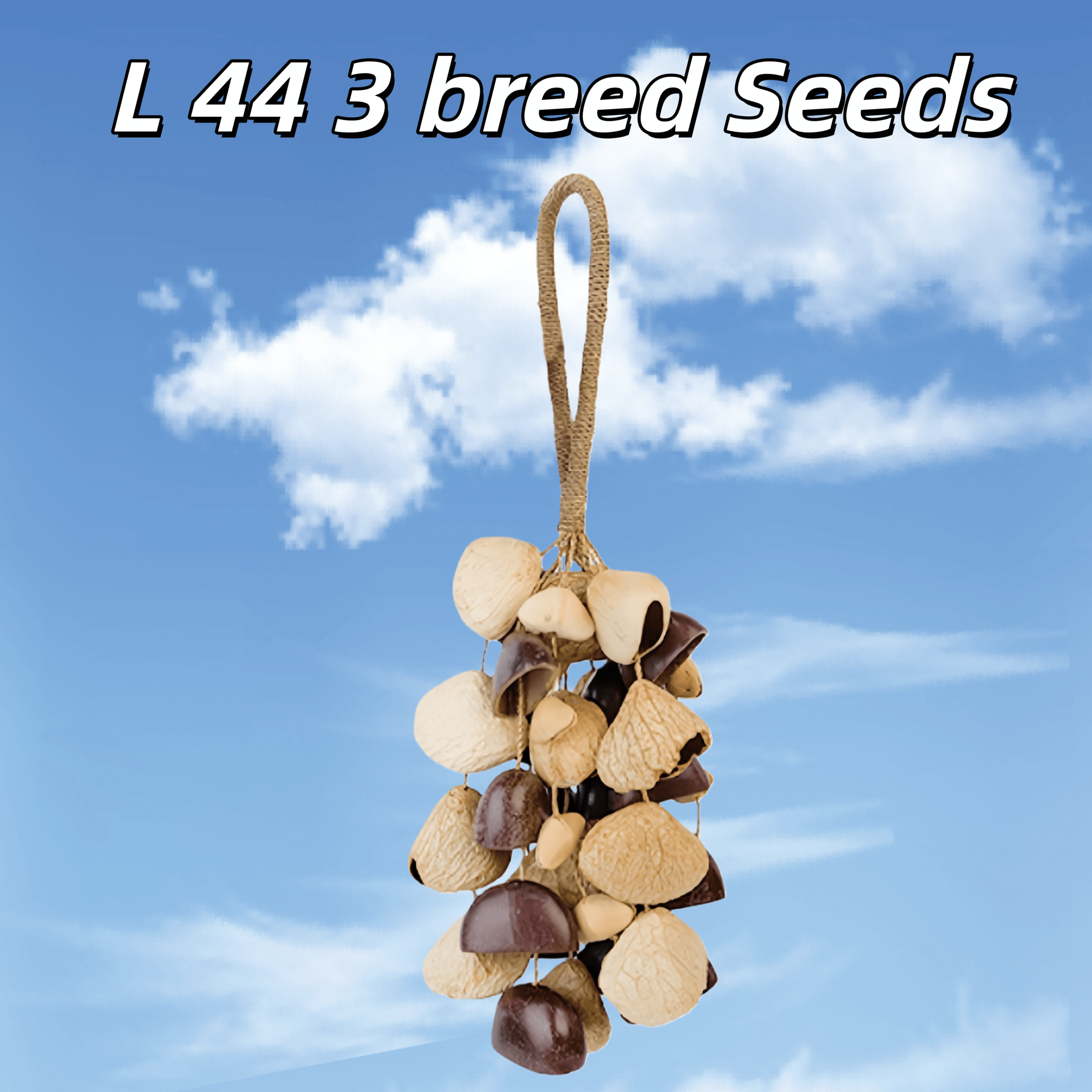 Seed Shaker | Handmade Entada, Pala Cardamom & Chacha Oleander Seed Shell Hand Bell– Natural Rainforest Sound - Yunicrafts
