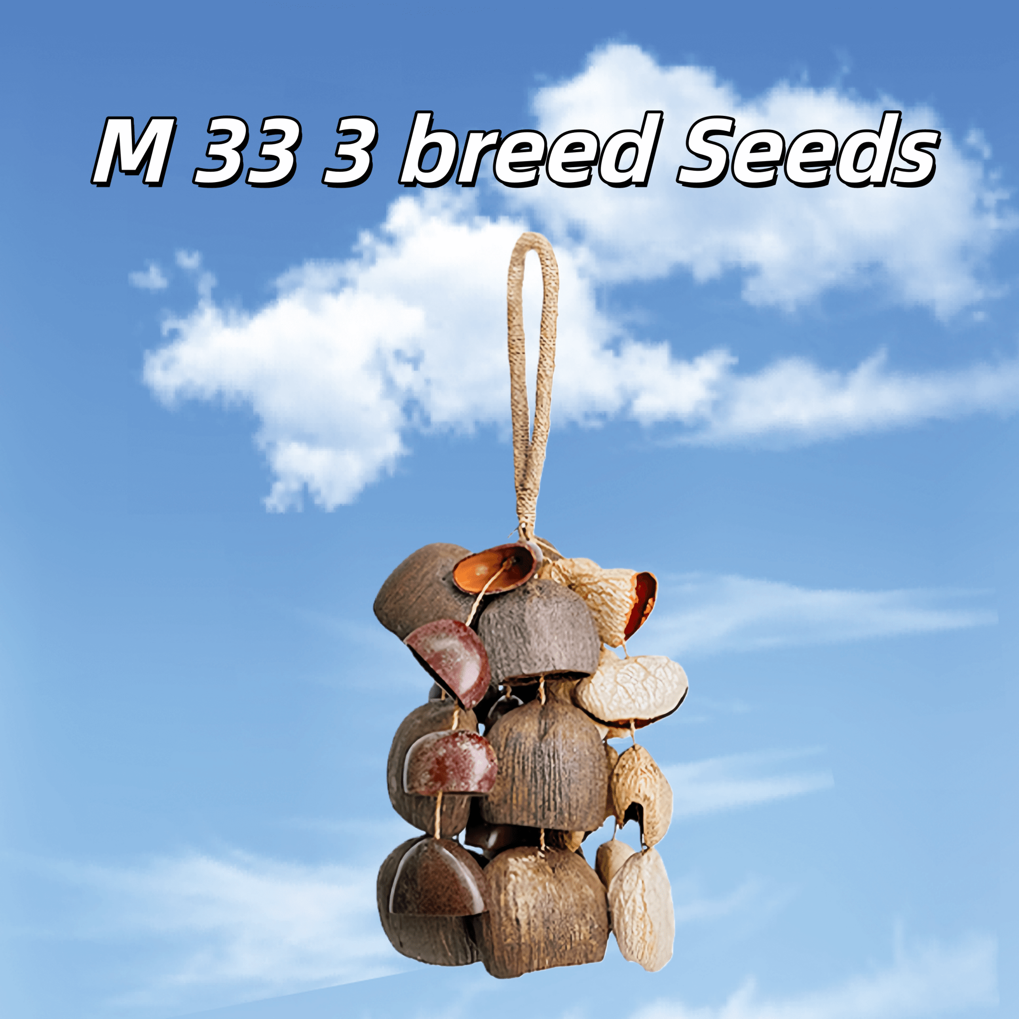 Seed Shaker | Handmade Entada, Pala Cardamom & Chacha Oleander Seed Shell Hand Bell– Natural Rainforest Sound - Yunicrafts