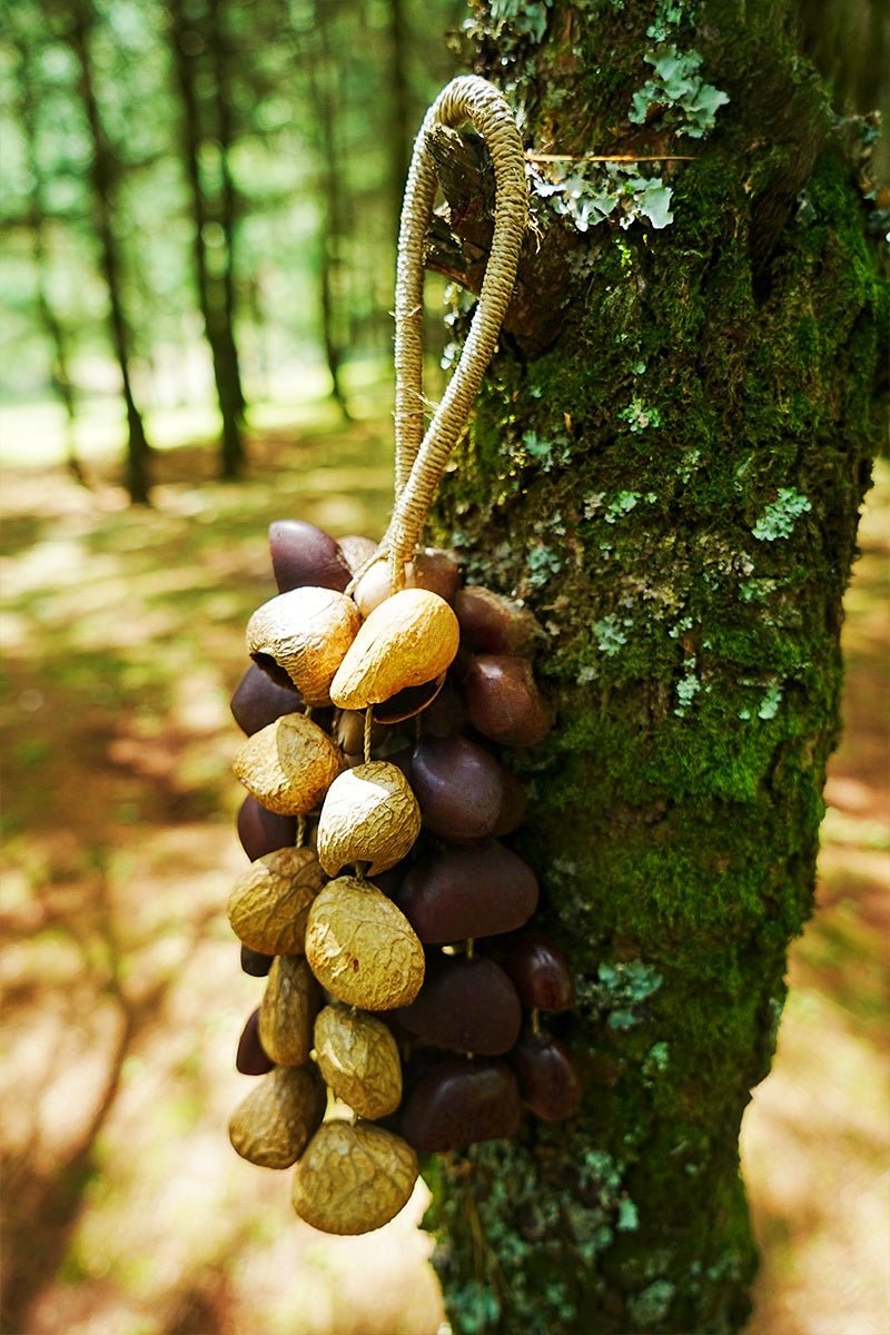 Seed Shaker | Handmade Entada, Pala Cardamom & Chacha Oleander Seed Shell Hand Bell– Natural Rainforest Sound - Yunicrafts