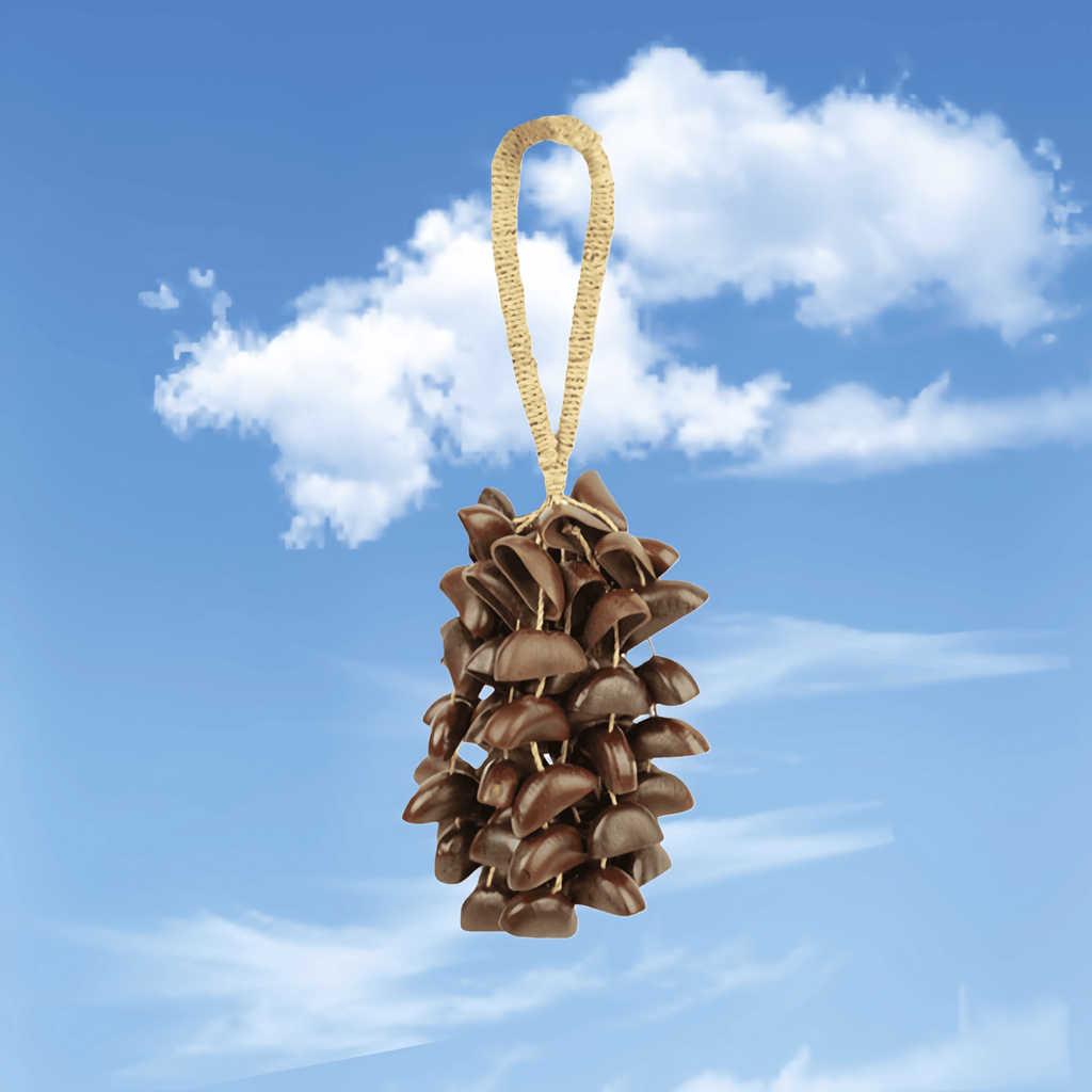 Seed Shaker | Handmade Juju Duckfoot Vine Seed Shell Hand Bell – Natural Rainforest Sound Decor - Yunicrafts