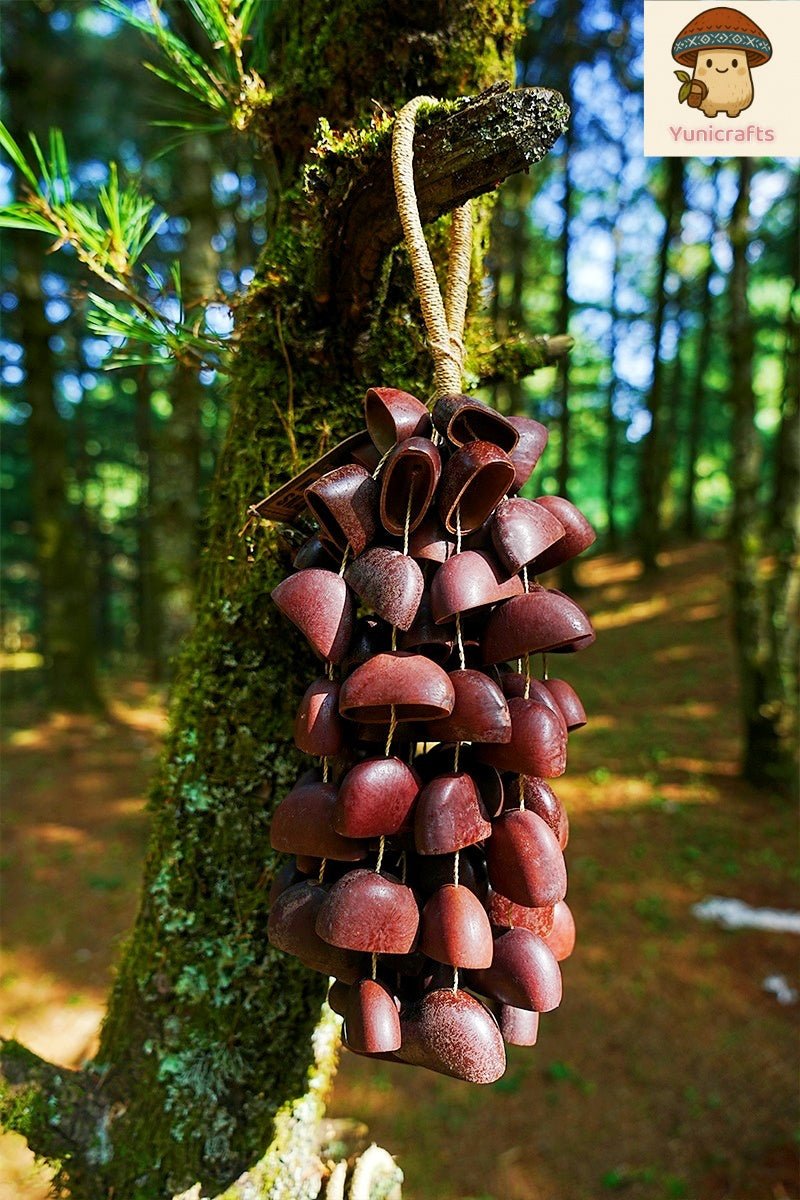 Seed Shaker | Handmade Juju Duckfoot Vine Seed Shell Hand Bell – Natural Rainforest Sound Decor - Yunicrafts