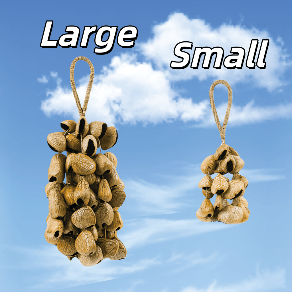 Seed Shaker | Handmade Panji White Fruit Seed Shell Hand Bell – Natural Rainforest Sound Decor - Yunicrafts