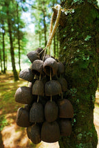 Seed Shaker | Handmade Salin Water Bellwood Seed Shell Hand Bell – Natural Rainforest Decor - Yunicrafts