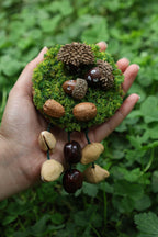 "The Acorn Family" - Handmade Moss Forest Wall Hanging & Seed Mobile - Yunicrafts