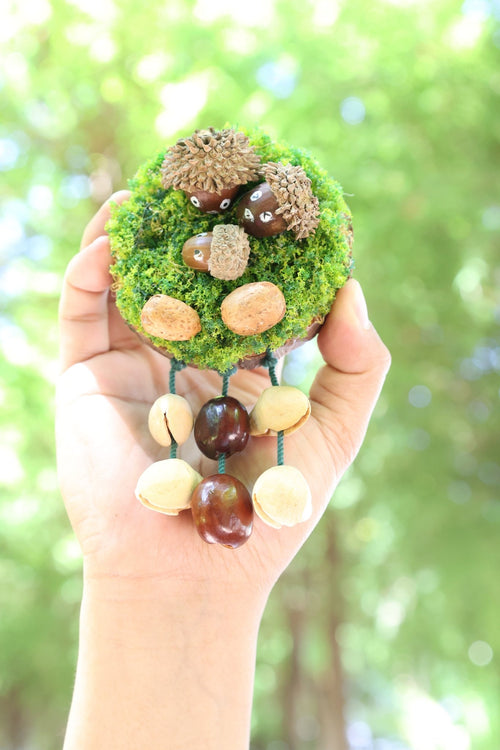 "The Acorn Family" - Handmade Moss Forest Wall Hanging & Seed Mobile - Yunicrafts