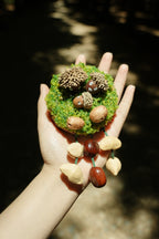 "The Acorn Family" - Handmade Moss Forest Wall Hanging & Seed Mobile - Yunicrafts