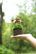 "The Ancient Stone Keeper" - Mossy Moai Totem Nut Shell Doll - Yunicrafts