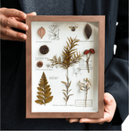 "The Botanist's Journal" Pressed Flower Art Frame - Yunicrafts