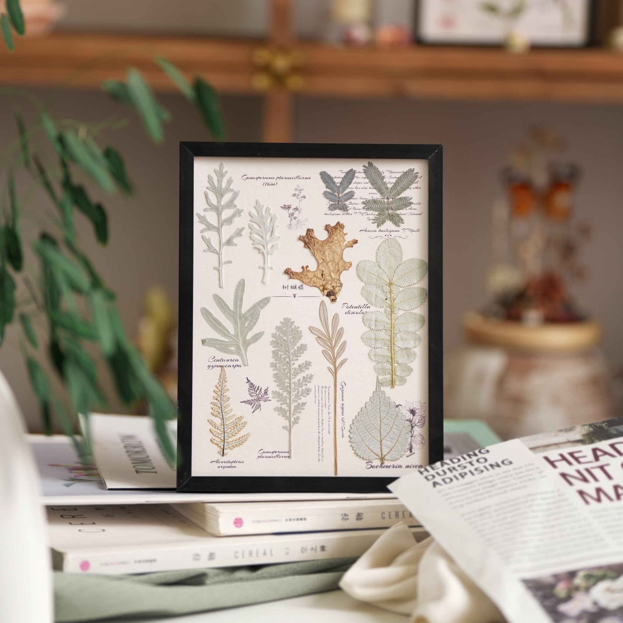 "The Botanist’s Journal" - Real Pressed Flower & Foliage Art Frames (4 Themes) - Yunicrafts