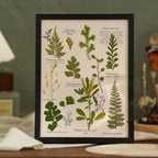 "The Botanist’s Journal" - Real Pressed Flower & Foliage Art Frames (4 Themes) - Yunicrafts