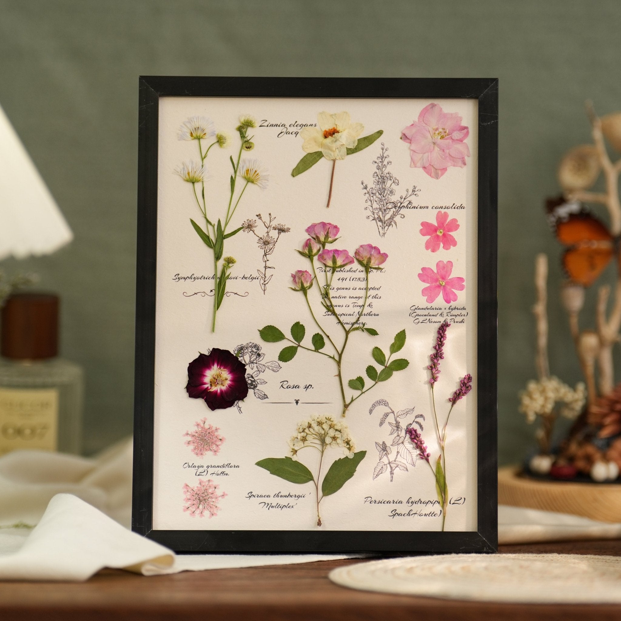 "The Botanist’s Journal" - Real Pressed Flower & Foliage Art Frames (4 Themes) - Yunicrafts