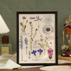 "The Botanist’s Journal" - Real Pressed Flower & Foliage Art Frames (4 Themes) - Yunicrafts