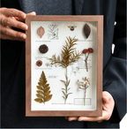 "The Botanist’s Journal" - Real Pressed Flower & Foliage Art Frames (4 Themes) - Yunicrafts