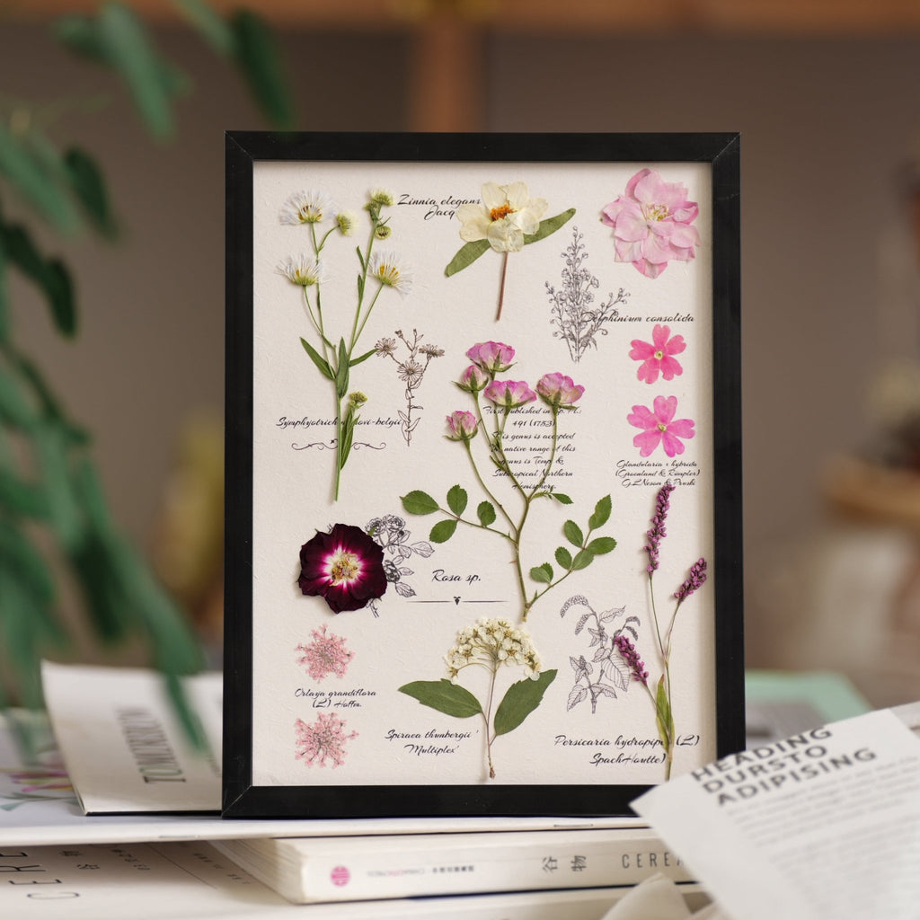 "The Botanist’s Journal" - Real Pressed Flower & Foliage Art Frames (4 Themes) - Yunicrafts