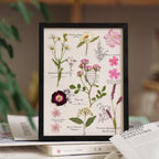 "The Botanist’s Journal" - Real Pressed Flower & Foliage Art Frames (4 Themes) - Yunicrafts