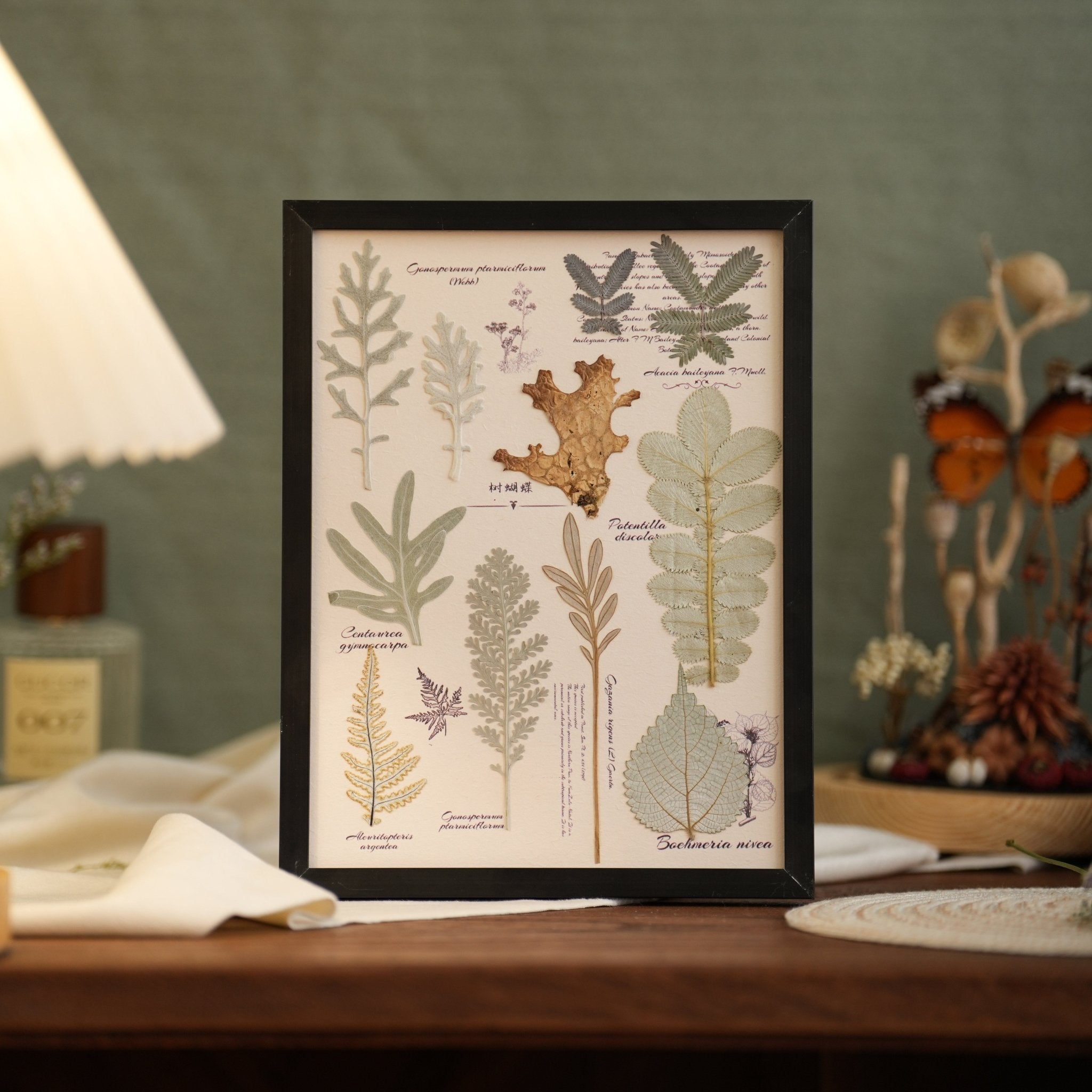 "The Botanist’s Journal" - Real Pressed Flower & Foliage Art Frames (4 Themes) - Yunicrafts