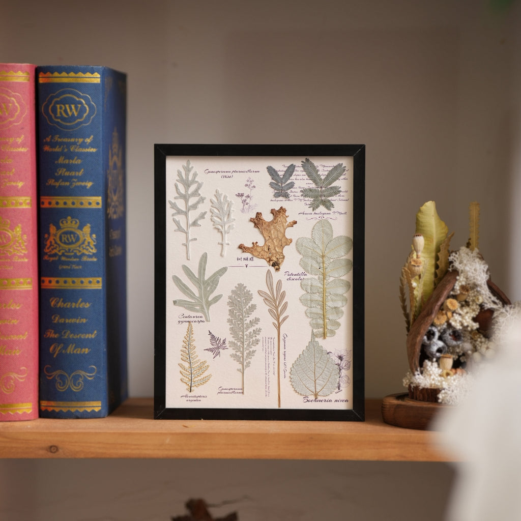 "The Botanist’s Journal" - Real Pressed Flower & Foliage Art Frames (4 Themes) - Yunicrafts