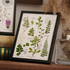 "The Botanist’s Journal" - Real Pressed Flower & Foliage Art Frames (4 Themes) - Yunicrafts