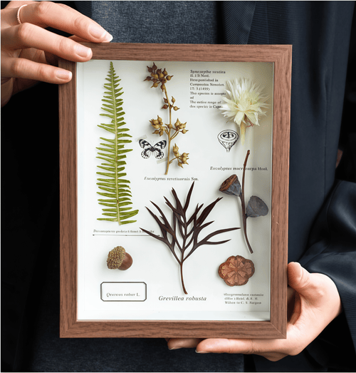 "The Botanist’s Journal" - Real Pressed Flower & Foliage Art Frames (4 Themes) - Yunicrafts