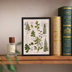 "The Botanist’s Journal" - Real Pressed Flower & Foliage Art Frames (4 Themes) - Yunicrafts