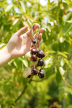 "The Deep Woods Rattle" - Dark Nut & Hollow Pod Cluster Charm with Rope Loop - Yunicrafts