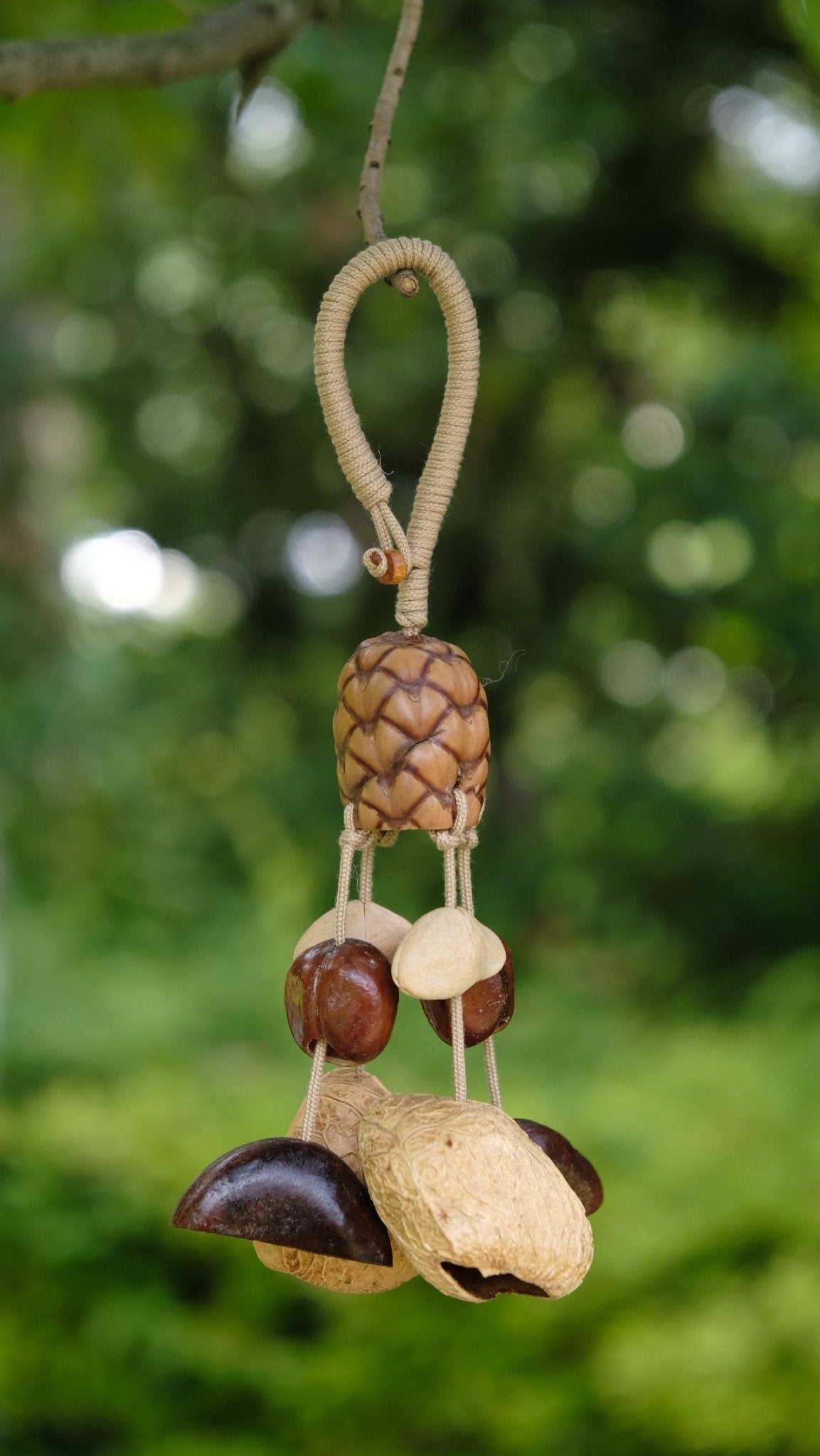 "The Forest Harvest" - Textured Pinecone - Pattern Seed & Nut Shell Mobile - Yunicrafts