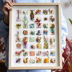 "The Grand Botanical Mosaic" - 48 - Grid Real Specimen Shadow Box Art (Extra Large) - Yunicrafts