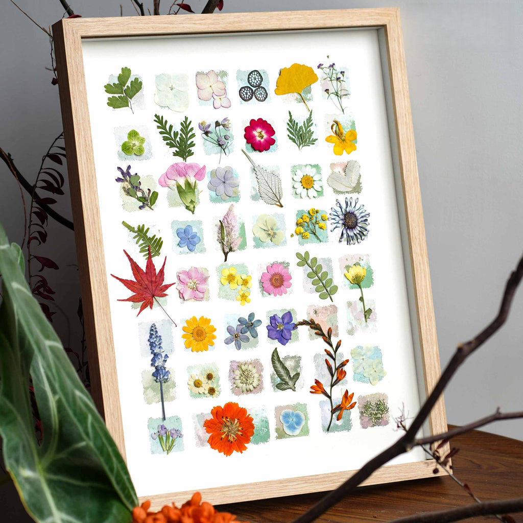 "The Grand Botanical Mosaic" - 48 - Grid Real Specimen Shadow Box Art (Extra Large) - Yunicrafts